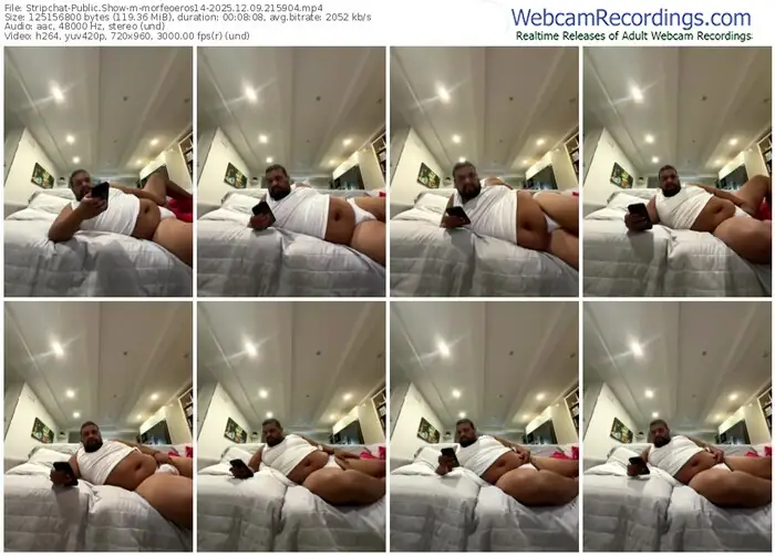 stripchat-morfeoeros14-12-09-2025-21-59-04