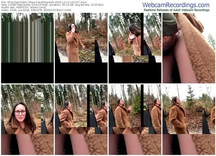 stripchat-avaflowers6-12-10-2025-14-11-07