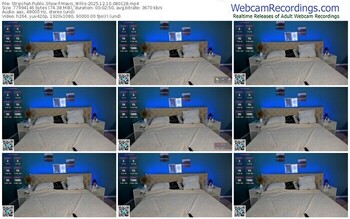 stripchat-mavis_willis-12-10-2025-08-01-28