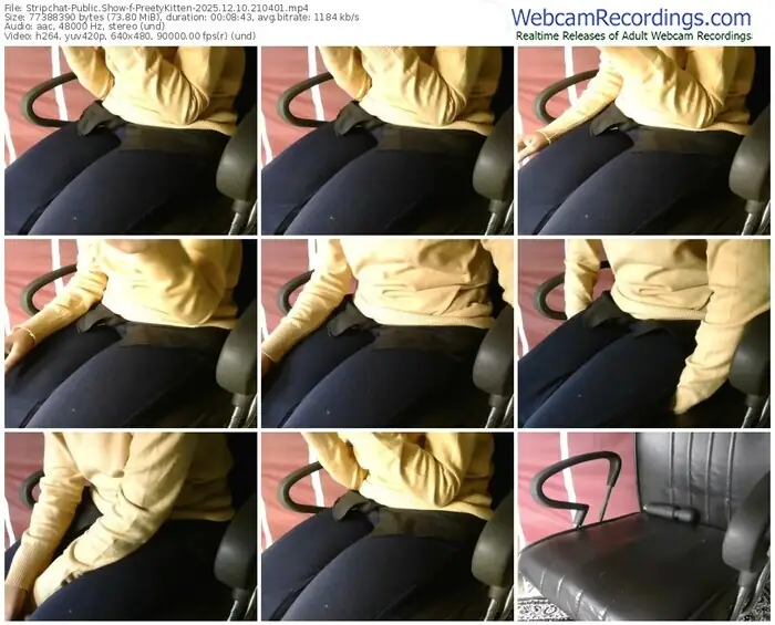 stripchat-preetykitten-12-10-2025-21-04-01