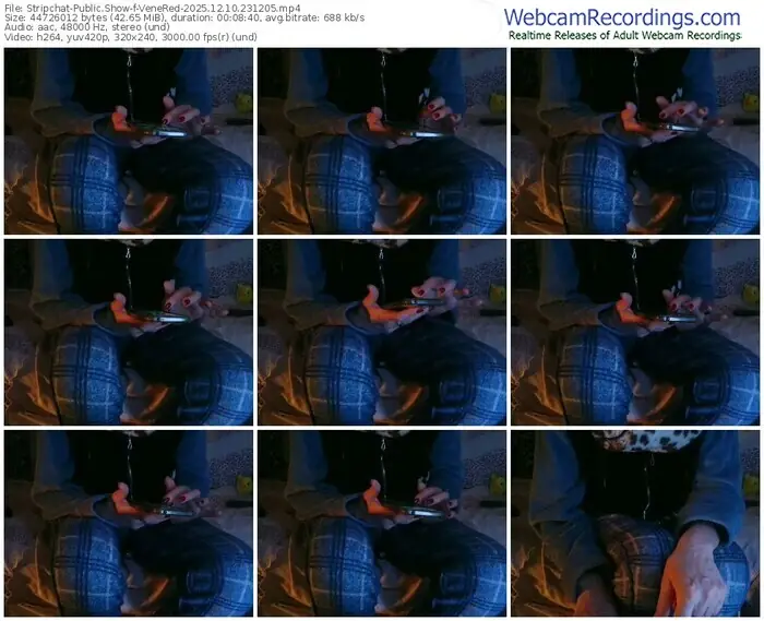 stripchat-venered-12-10-2025-23-12-05