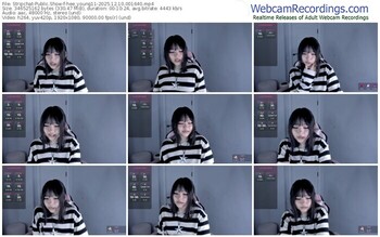 stripchat-hee_young11-12-10-2025-00-16-40