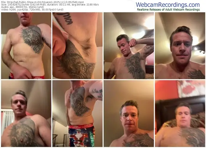 stripchat-dilfiguess1-12-10-2025-05-25-40