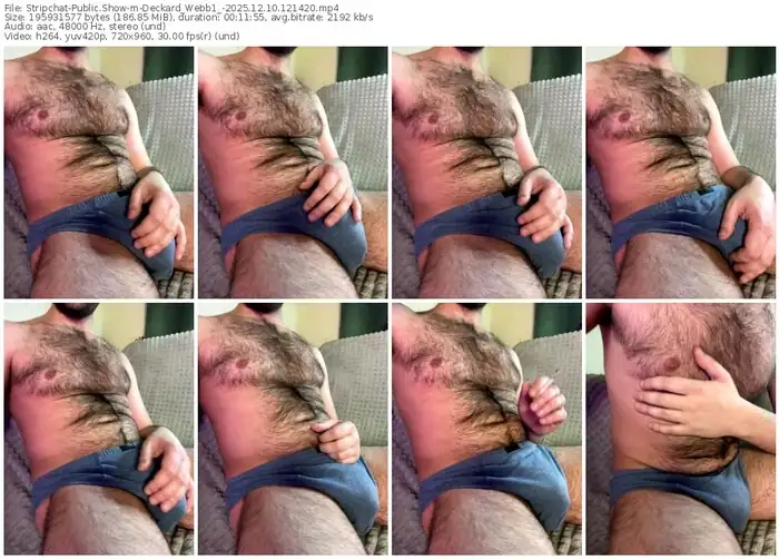 stripchat-deckard_webb1_-12-10-2025-12-14-20