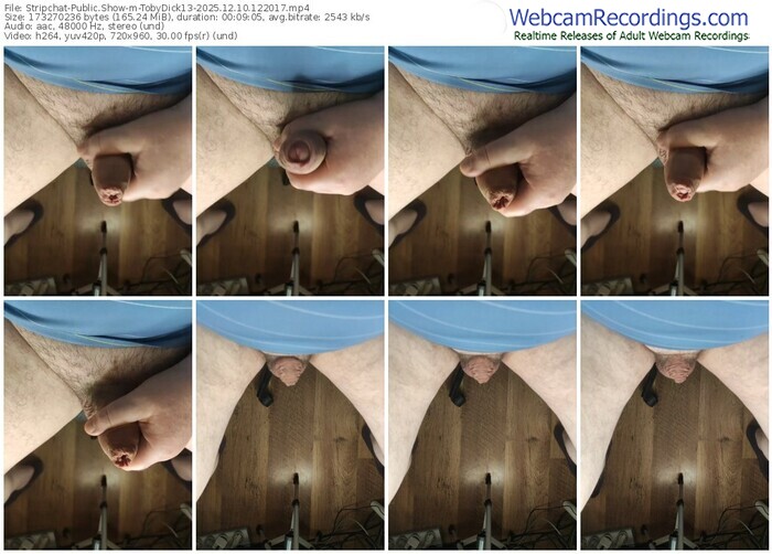 stripchat-tobydick13-12-10-2025-12-20-17