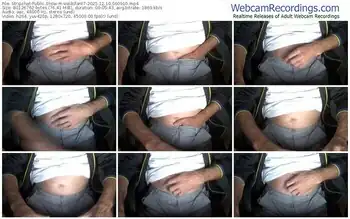 stripchat-velikifant7-12-10-2025-06-09-10