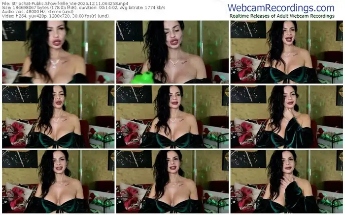 stripchat-elle_vie-12-11-2025-06-42-58