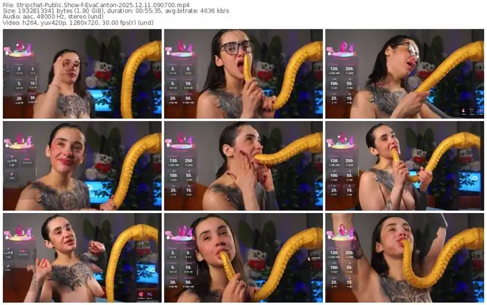 stripchat-evacanton-12-11-2025-09-07-00