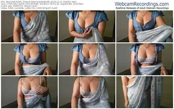 stripchat-gleaming-butterfly-12-11-2025-04-43-01