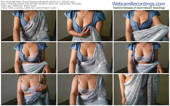 stripchat-gleaming-butterfly-12-11-2025-04-43-01