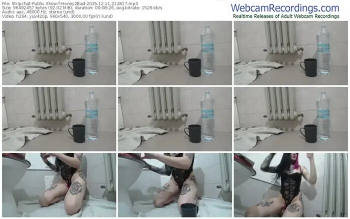 stripchat-honey2bad-12-11-2025-21-28-17