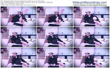 stripchat-littlepinkcat-12-11-2025-11-10-54