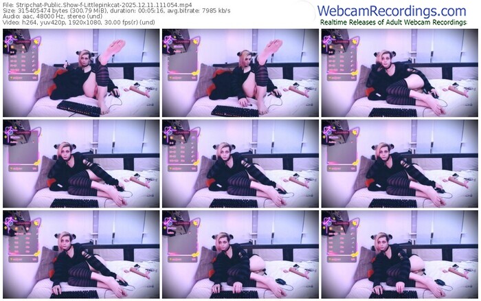 stripchat-littlepinkcat-12-11-2025-11-10-54