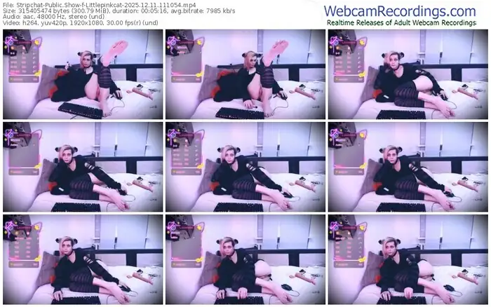 stripchat-littlepinkcat-12-11-2025-11-10-54