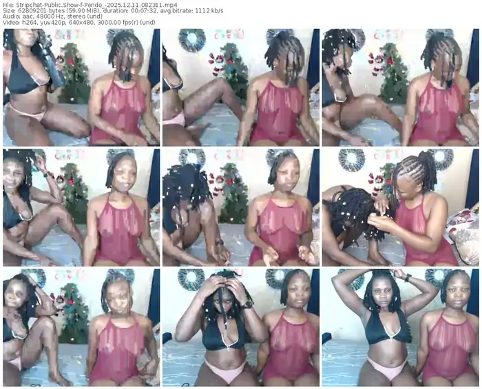 stripchat-pendo_-12-11-2025-08-23-11