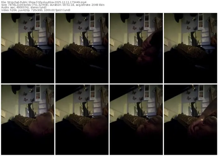stripchat-shysluutgia-12-11-2025-17-34-49