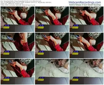 stripchat-venered-12-11-2025-08-11-04