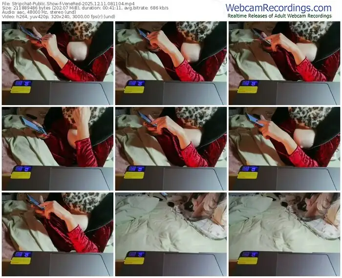 stripchat-venered-12-11-2025-08-11-04