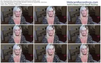 stripchat-vina_vision-12-11-2025-12-04-51