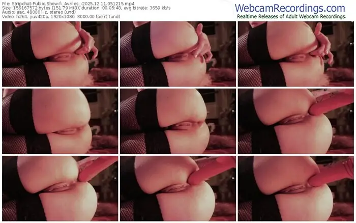 stripchat-_avriles_-12-11-2025-05-12-15