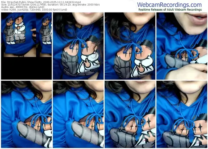 stripchat-kitty_2000-12-11-2025-04-24-32