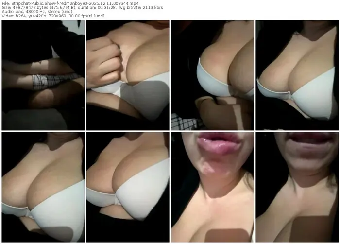 stripchat-redmanboy90-12-11-2025-00-33-44