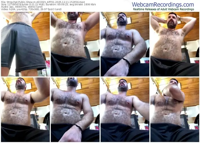 stripchat-adonis_art01-12-11-2025-15-26-56