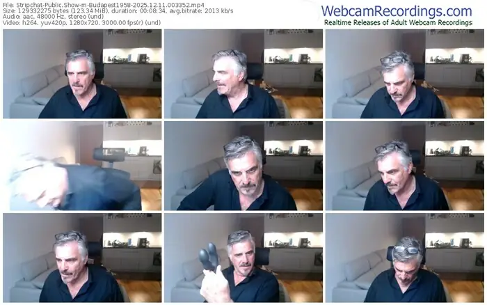 stripchat-budapest1958-12-11-2025-00-33-52