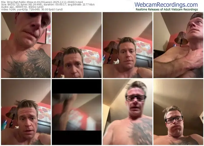 stripchat-dilfiguess1-12-11-2025-03-46-13