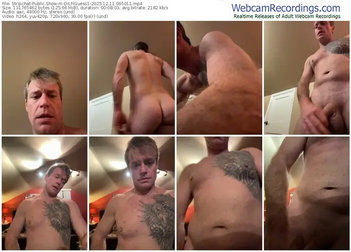 stripchat-dilfiguess1-12-11-2025-06-50-11