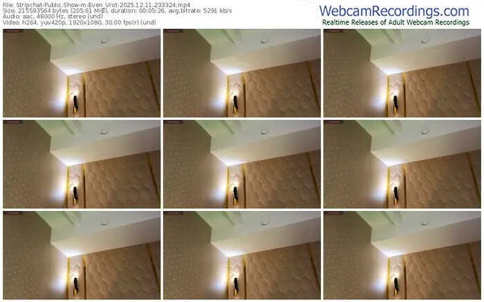stripchat-even_vrot-12-11-2025-23-33-24