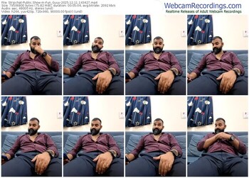 stripchat-fun_guuy-12-11-2025-14-34-27