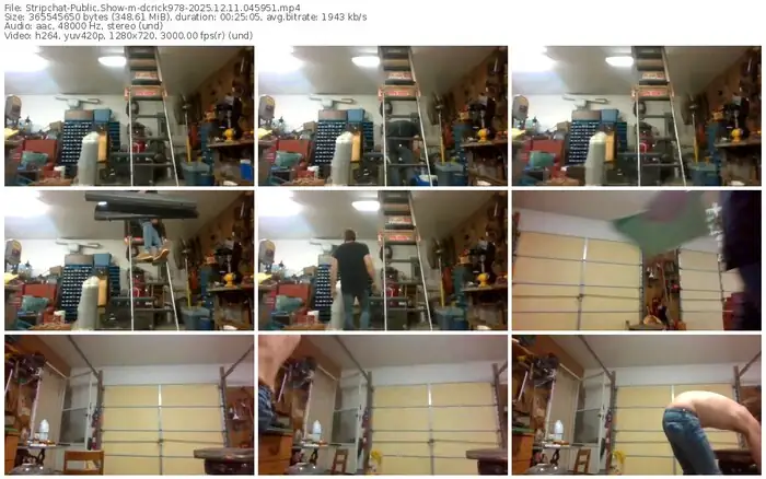 stripchat-dcrick978-12-11-2025-04-59-51