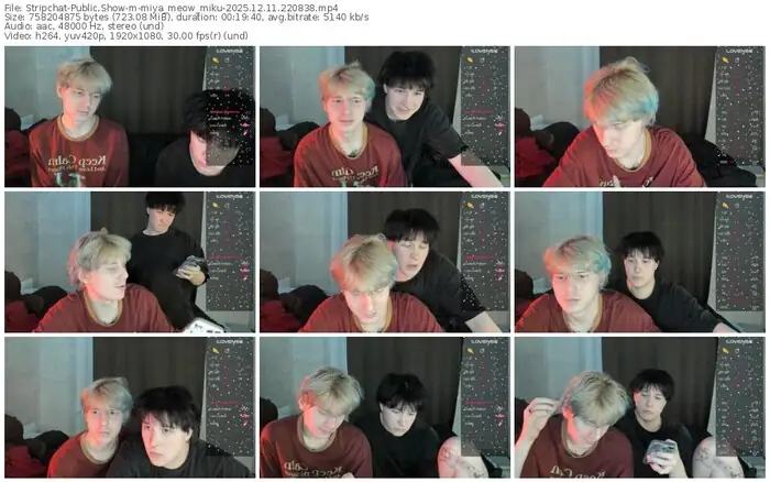 stripchat-miya_meow_miku-12-11-2025-22-08-38