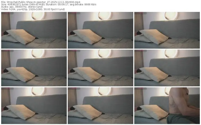 stripchat-specter_27-12-11-2025-00-29-30