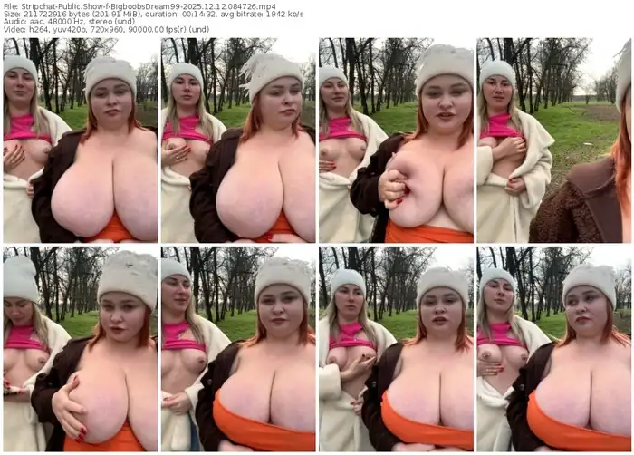 stripchat-bigboobsdream99-12-12-2025-08-47-26