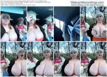 stripchat-bigboobsdream99-12-12-2025-13-08-06