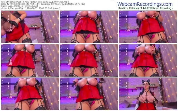 stripchat-lizzyvixxx-12-12-2025-07-43-30