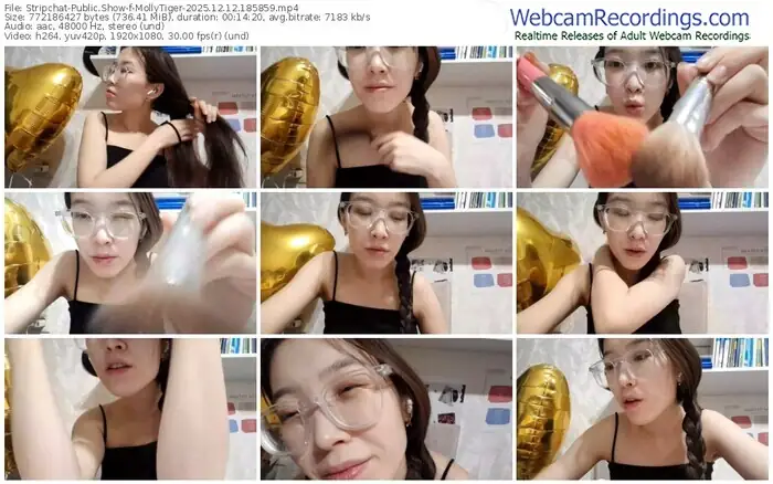 stripchat-mollytiger-12-12-2025-18-58-59