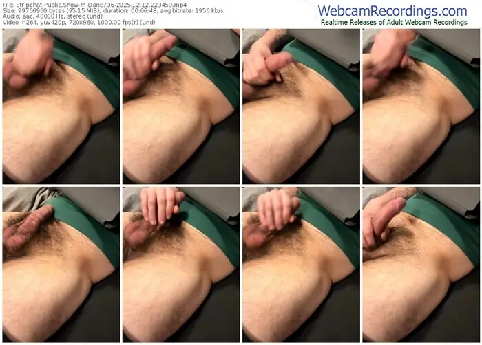 stripchat-dan8736-12-12-2025-22-34-59