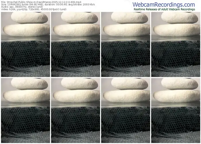 stripchat-davidmaros-12-12-2025-11-14-09