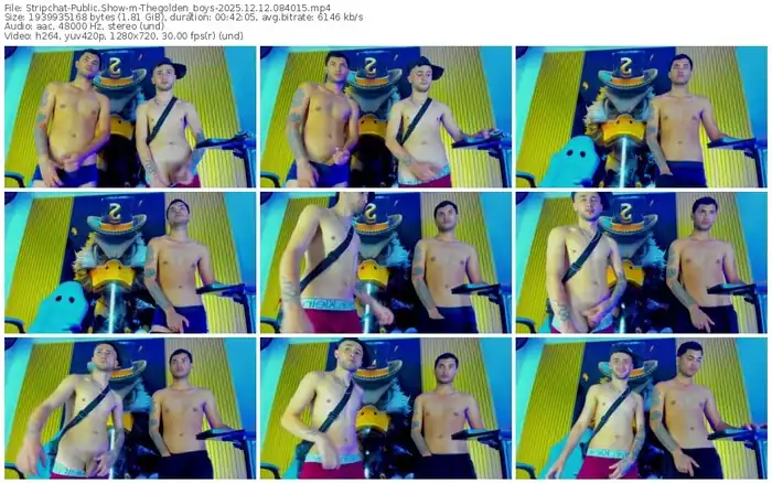 stripchat-thegolden_boys-12-12-2025-08-40-15