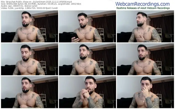 stripchat-_dylangreen-12-12-2025-16-59-58