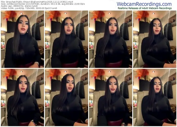 stripchat-bigdominamia-12-12-2025-16-36-11