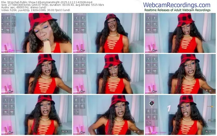 stripchat-ebonyhansnight-12-12-2025-14-29-28