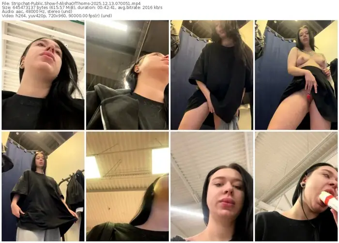 stripchat-alishaofthorns-12-13-2025-07-00-51