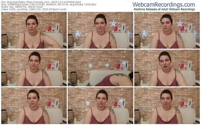 stripchat-amelia_kiss_-12-13-2025-04-06-06