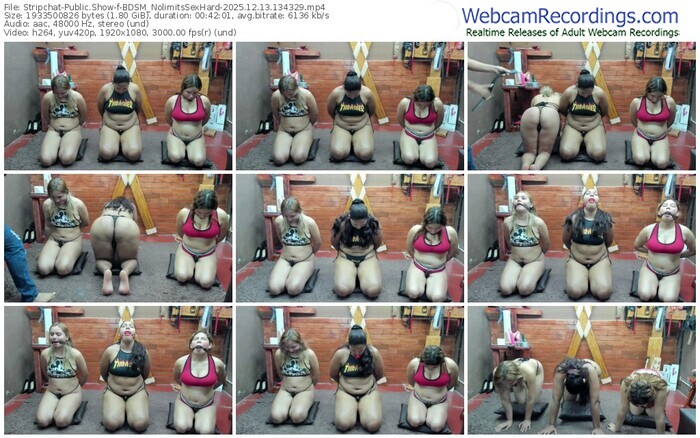 stripchat-bdsm_nolimitssexhard-12-13-2025-13-43-29