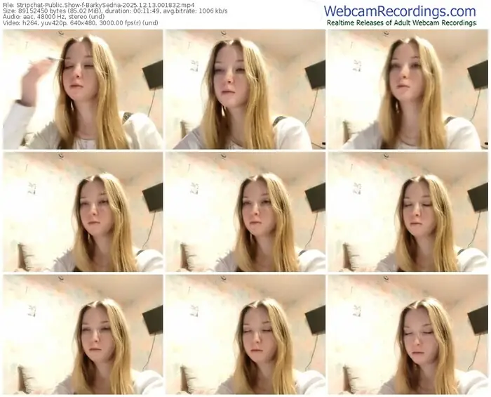 stripchat-barkysedna-12-13-2025-00-18-32