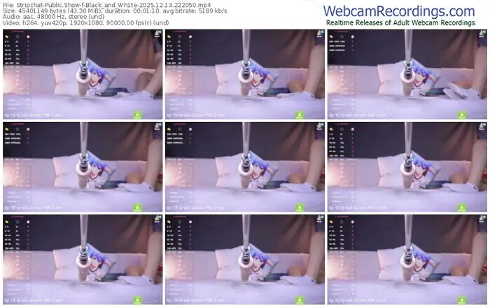 stripchat-black_and_wh1te-12-13-2025-22-20-50